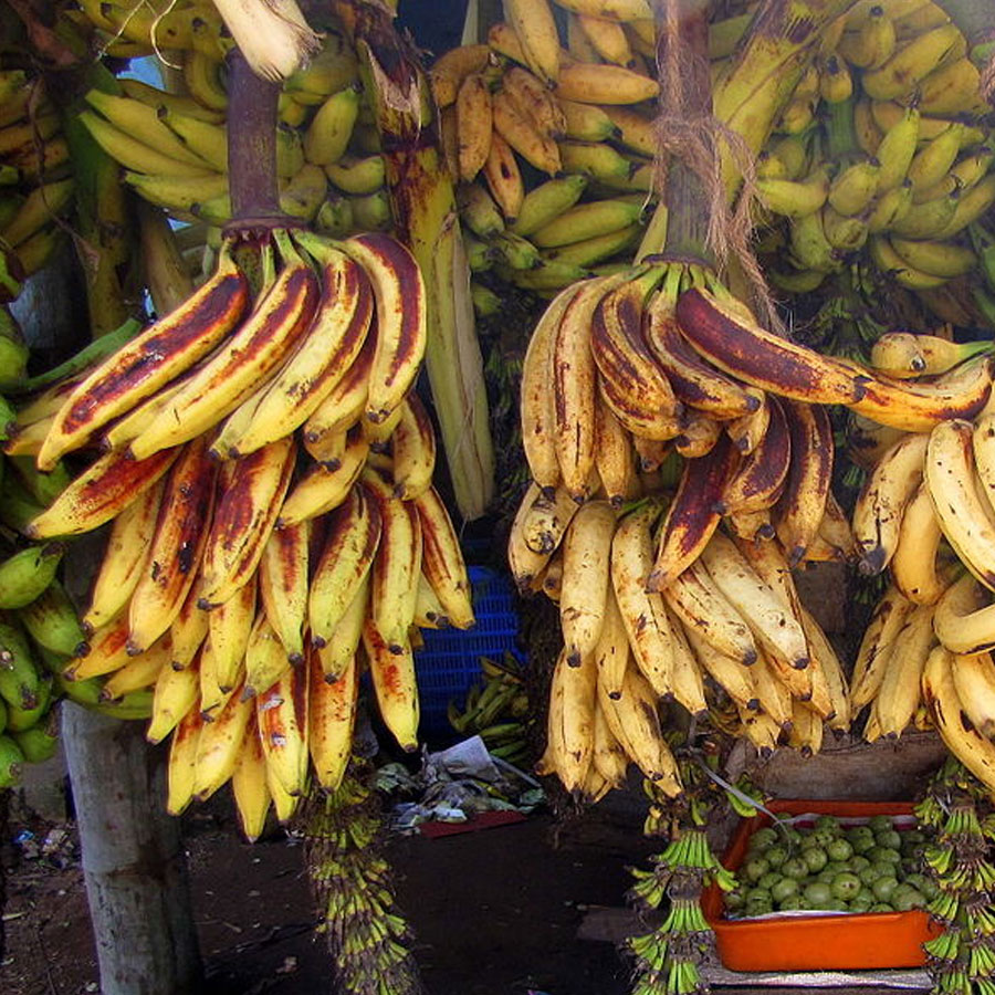 Changalikkodan Banana